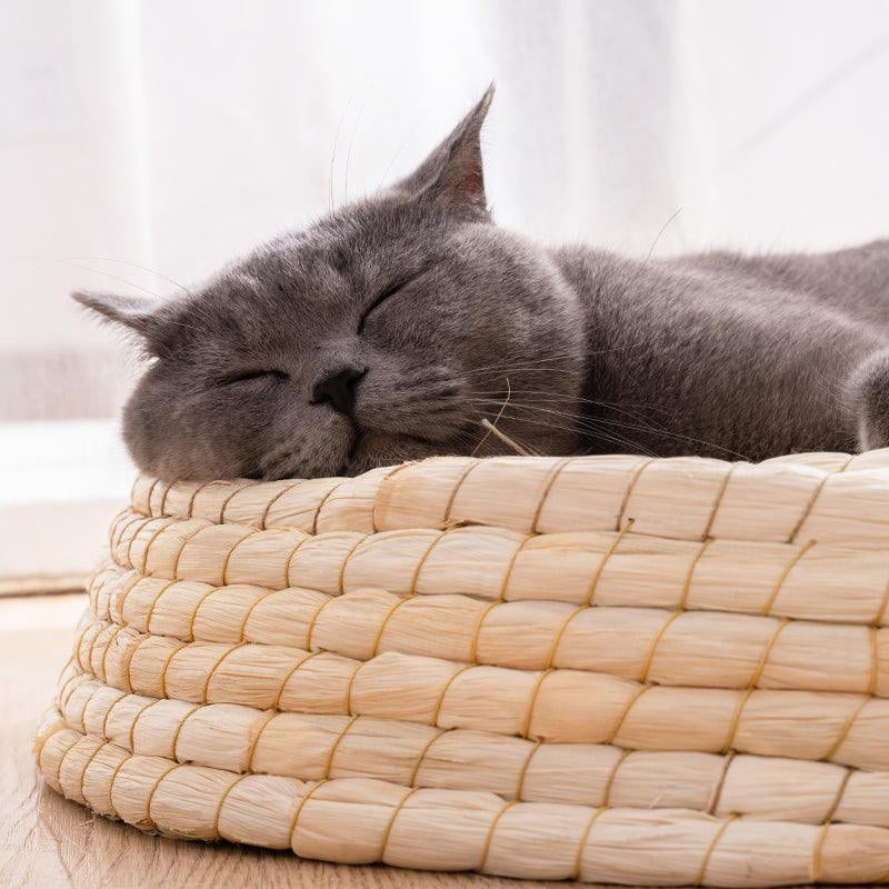 Cozy Haven: Handcrafted Felt House Cat Bed