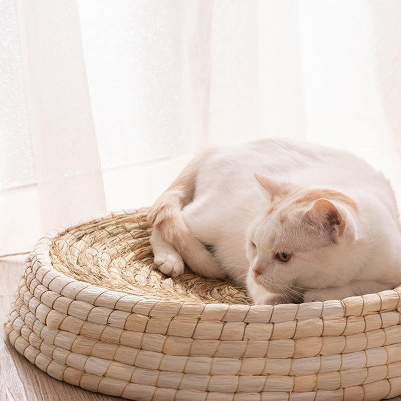 Cozy Haven: Handcrafted Felt House Cat Bed